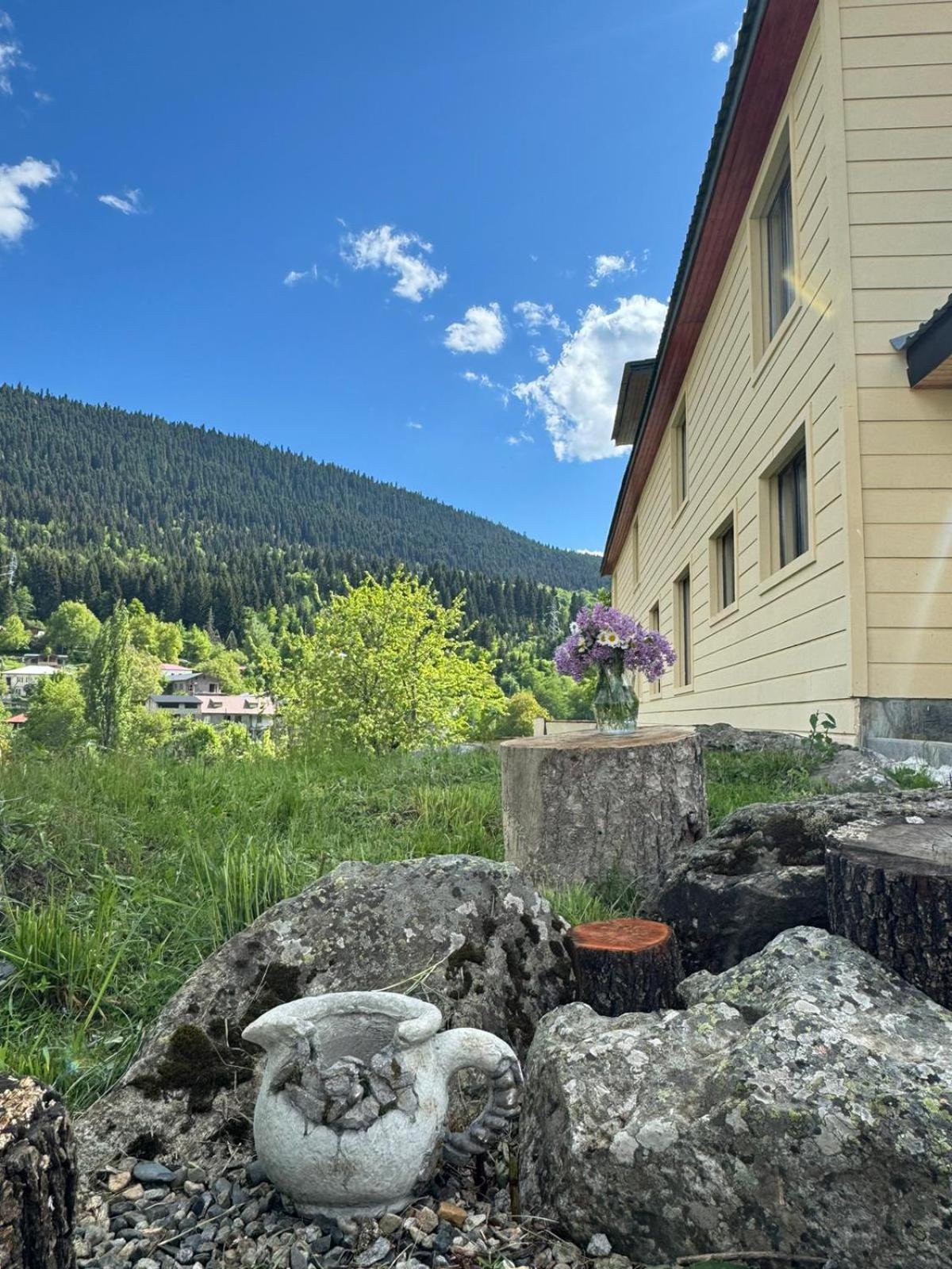 Mestiakhedi Exterior foto